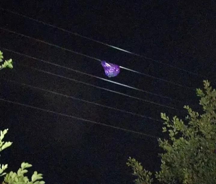 鱼竿到底会不会触碰高压电,鱼竿是绝缘为什么还会触电