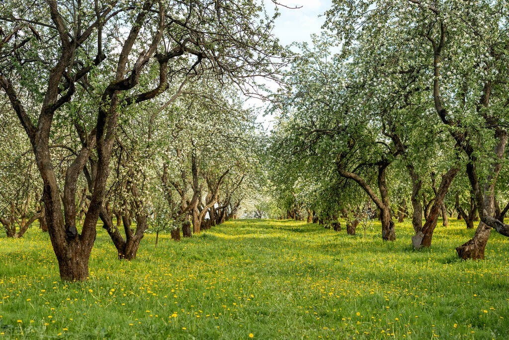 退伍军人创业的真实问题,退伍军人创业失败再次选择创业