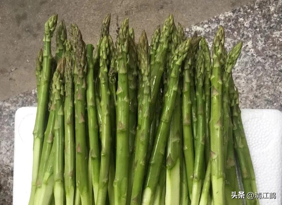 露笋高产吗,莴笋的种植方法和时间