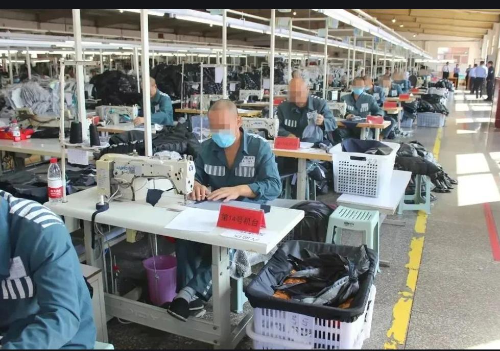 浙江杭州监狱生活真实,杭州西郊监狱的真实生活