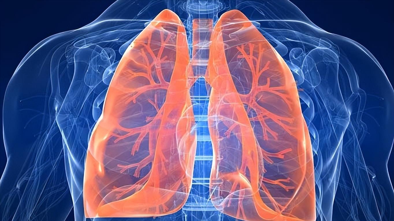 肺纹理增多可能是什么病,肺纹理增多主要是哪种病引起的