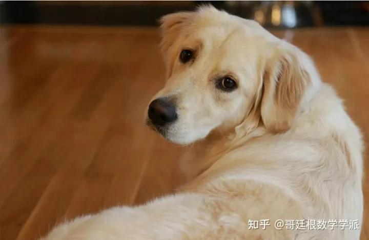 基于matlab3d图形重建深度学习,matlab图像增强深度学习算法