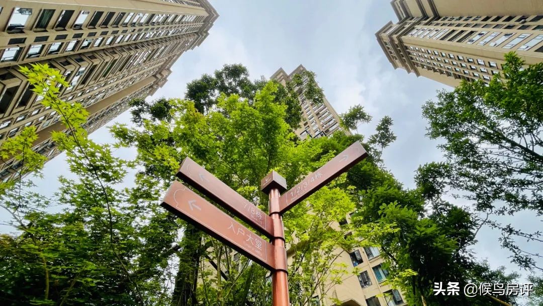 贵州之光最新消息,贵州之光几个地块