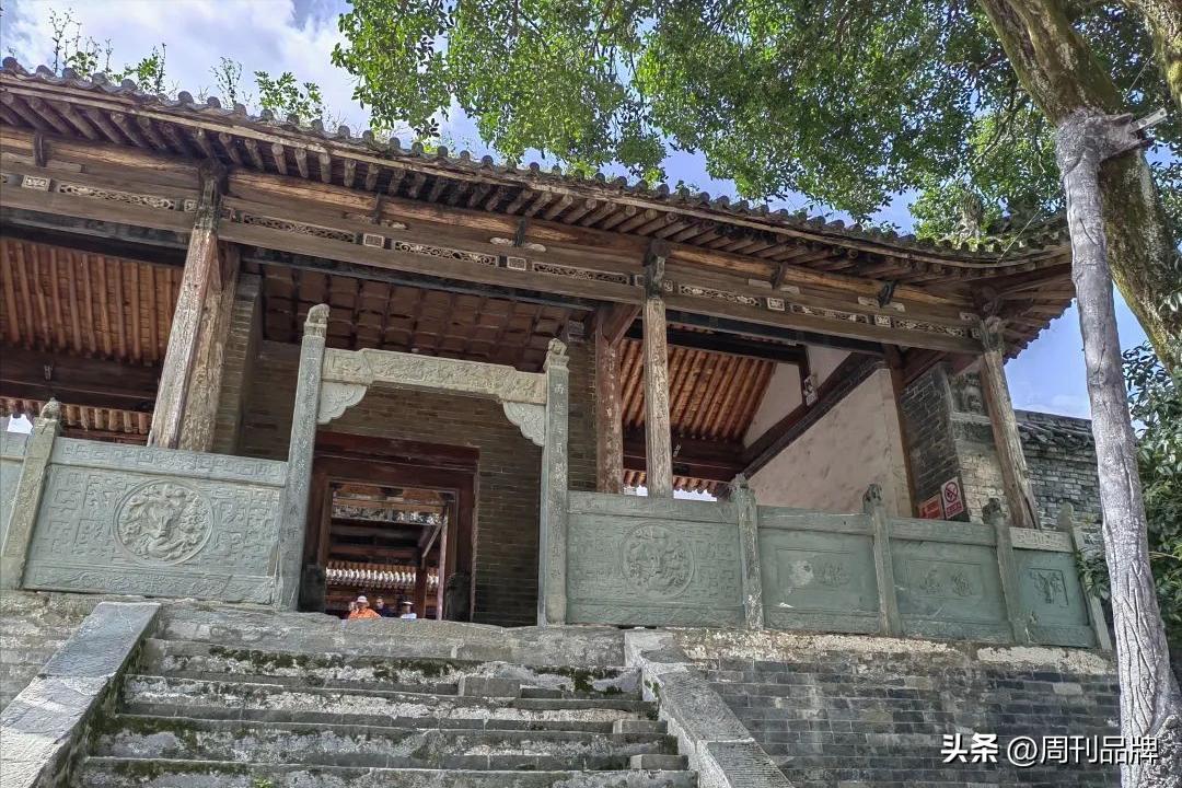 诸暨千年茶树王,走进古树茶王