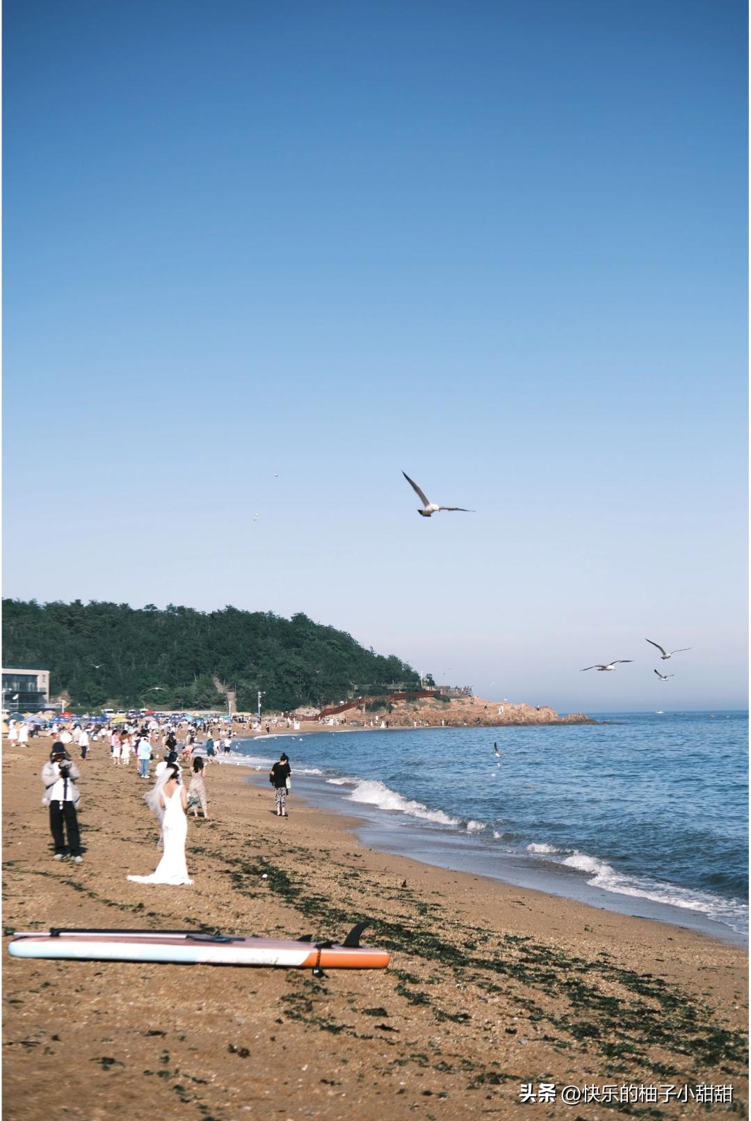 均温22℃，北方这座海滨避暑第一城，去一次相当于环游世界