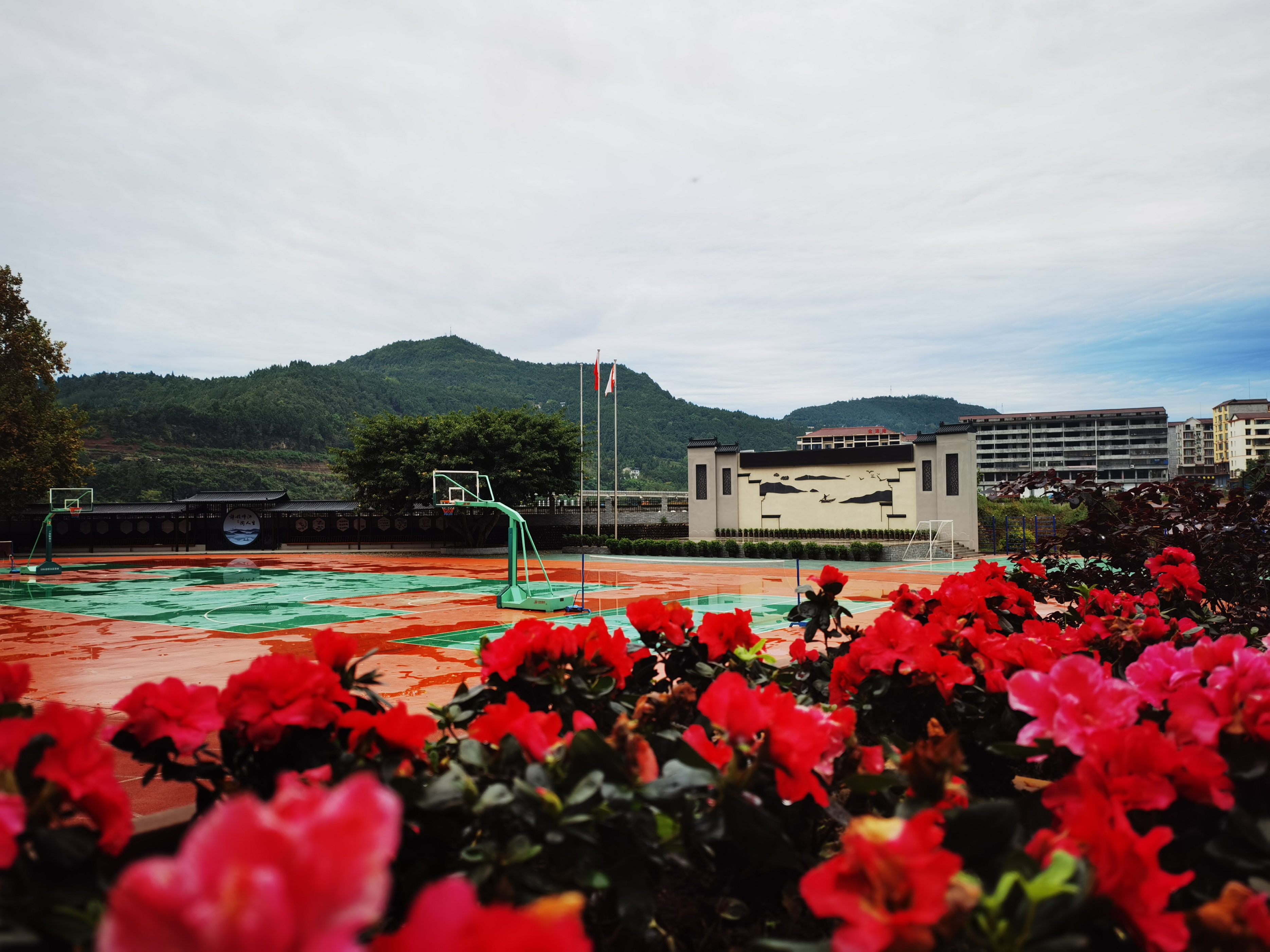 四川省广元市苍溪县歧坪镇学校,苍溪歧坪中心小学