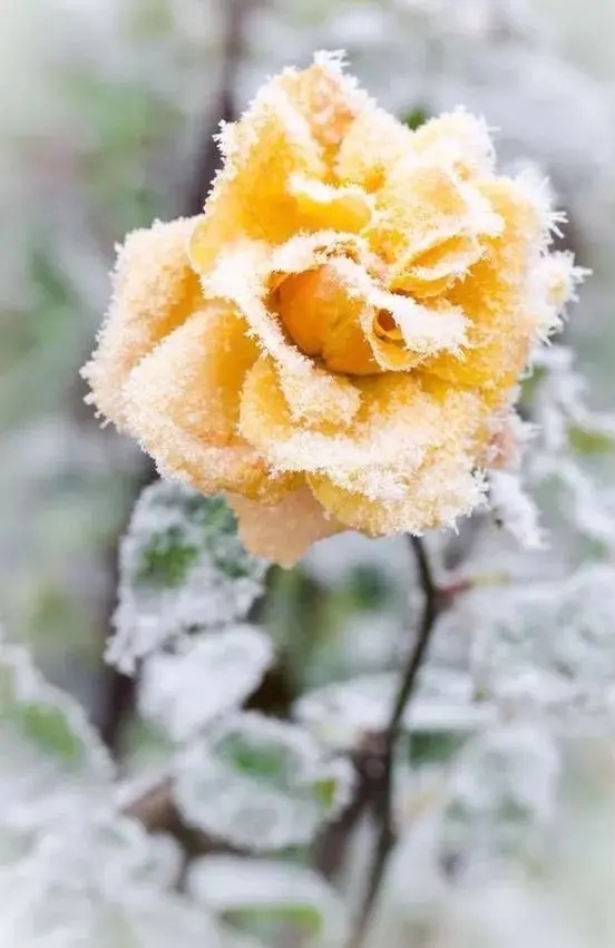 人生在世的经典美文,人生在世最美的美文