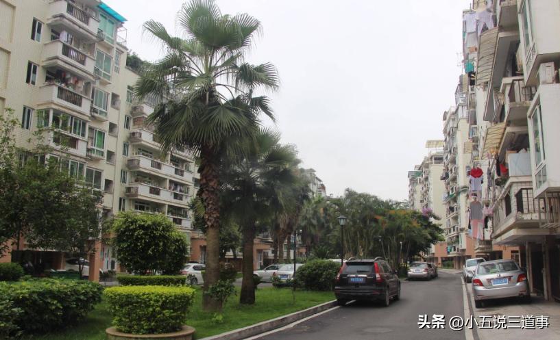 老破小遇到拆迁产权还是70年吗,70平米老破小改造翻新案例