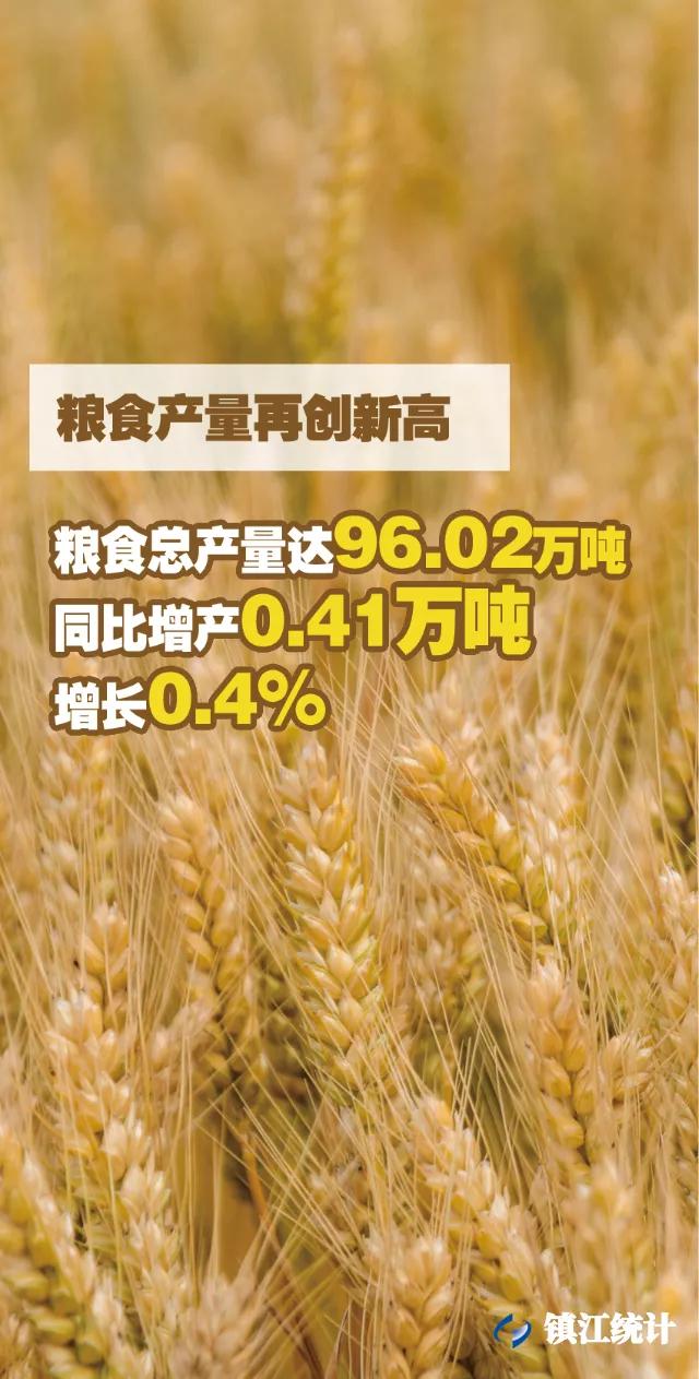 2022镇江一季度经济指标,镇江2019年上半年经济数据