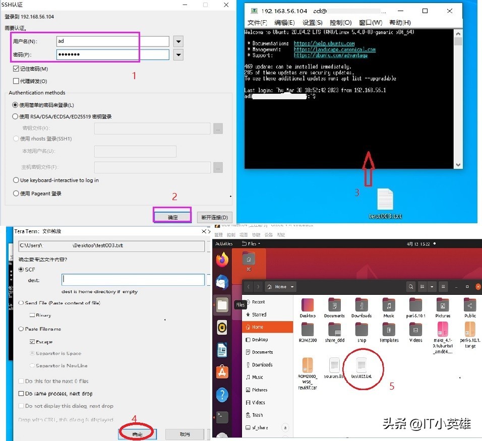 虚拟机怎么和主机复制粘贴文件,虚拟机复制到主机文件没有权限
