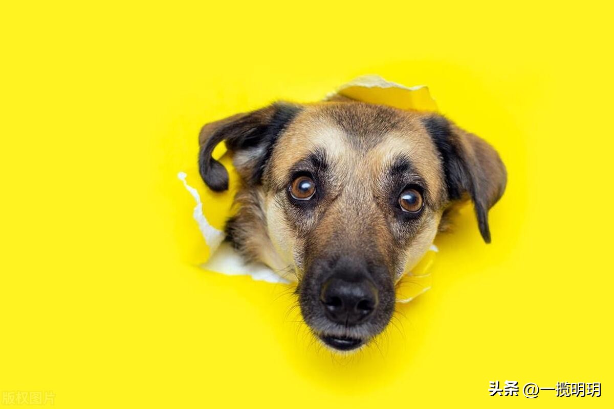 哪些网站是你一旦知道就离不开的,有哪些网站你一旦知道就离不开它