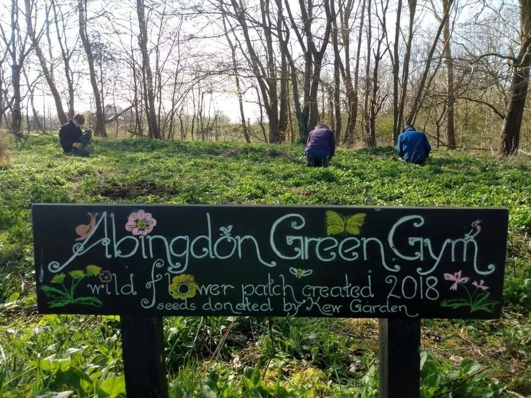 用头发可以清理石油爆上热搜!秃头网友狂喜:哈哈天生我材必有用