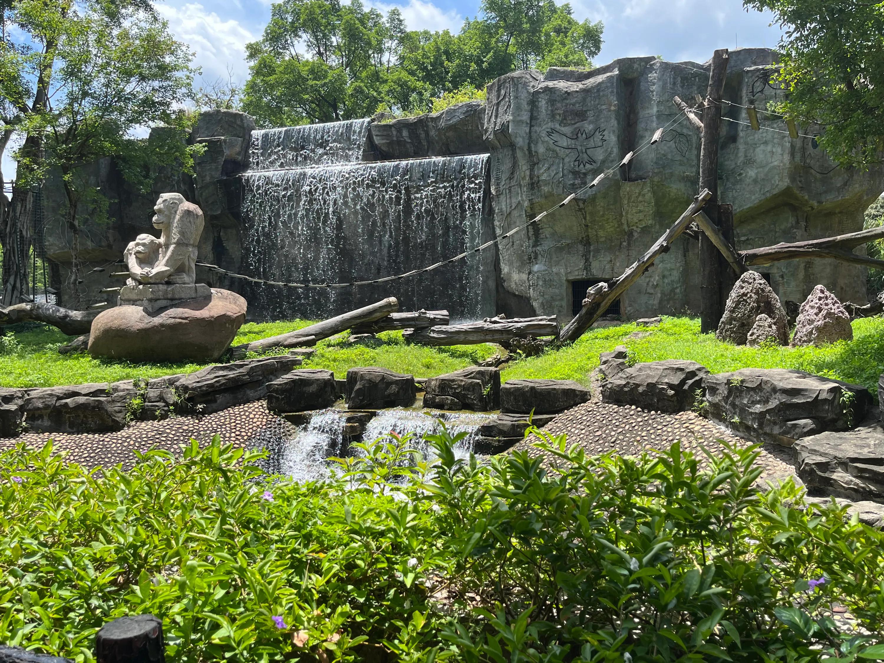 动物园野生动物一日游团,动物园一日游可爱的动物