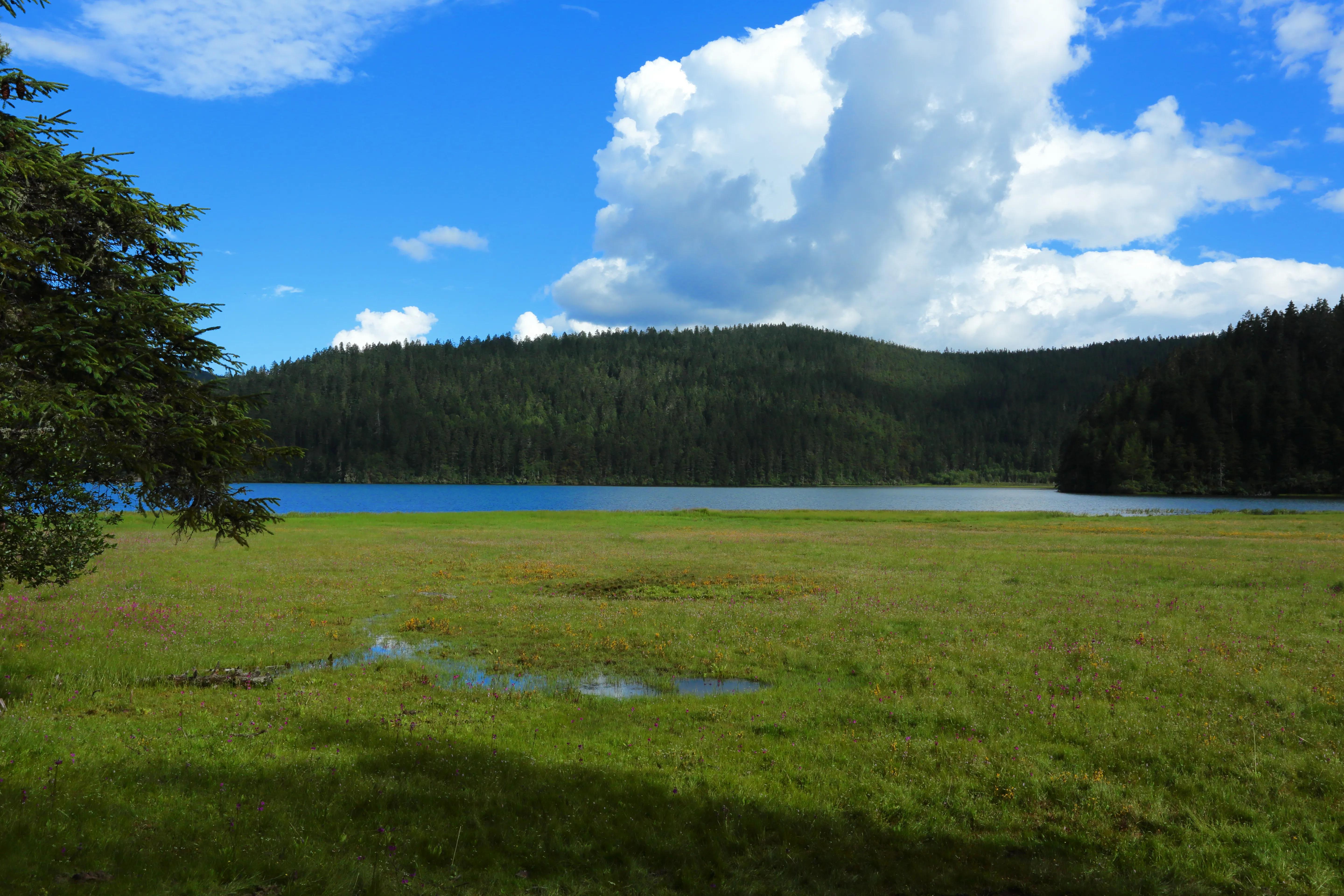 214自驾香格里拉,香格里拉到西藏自驾