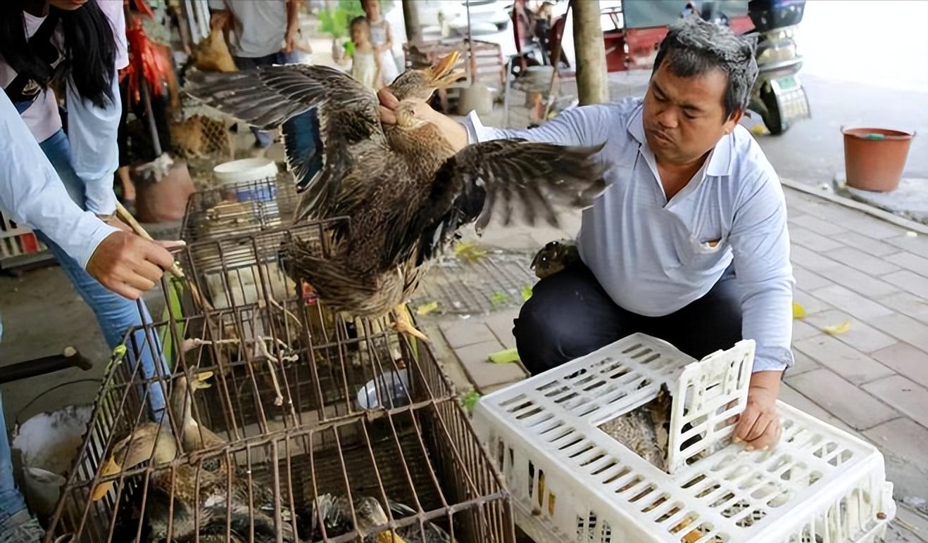 中元节算不算国家法定节日,中元节属于夏天的节日吗