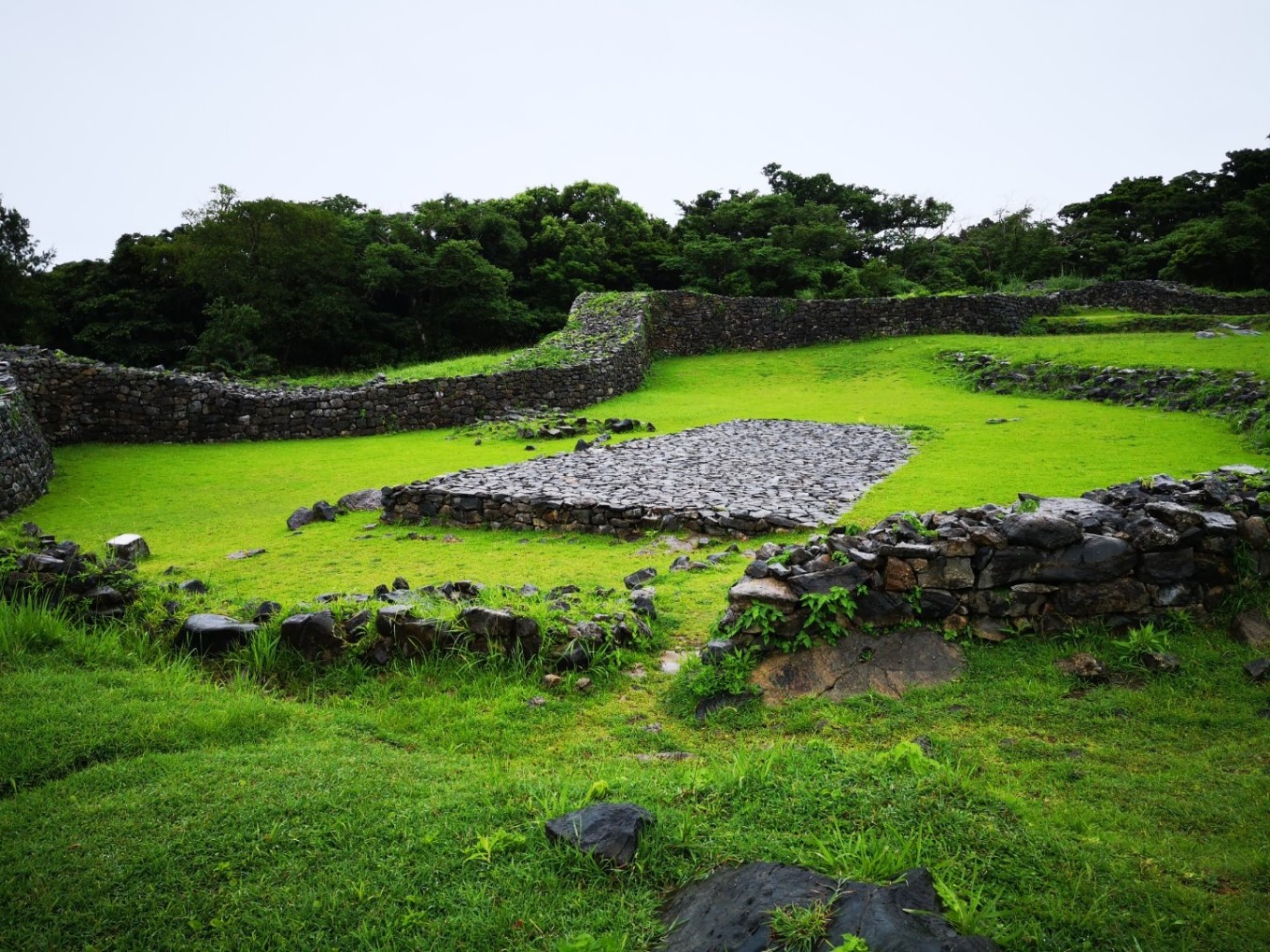 暑期档2019年,2019年暑期档