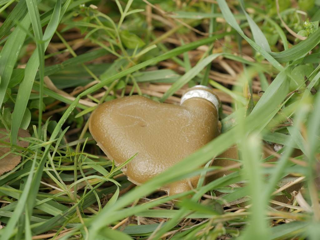 乌军无人机三次投弹,乌军扔手雷处理拒不出战的士兵