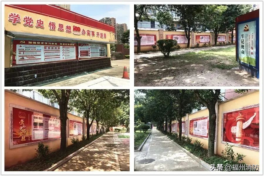 非凡十年奋进大湾区,非凡十年青春逐梦