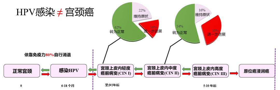 HPV感染之后还要查什么,hpv感染不可怕可预防可调理