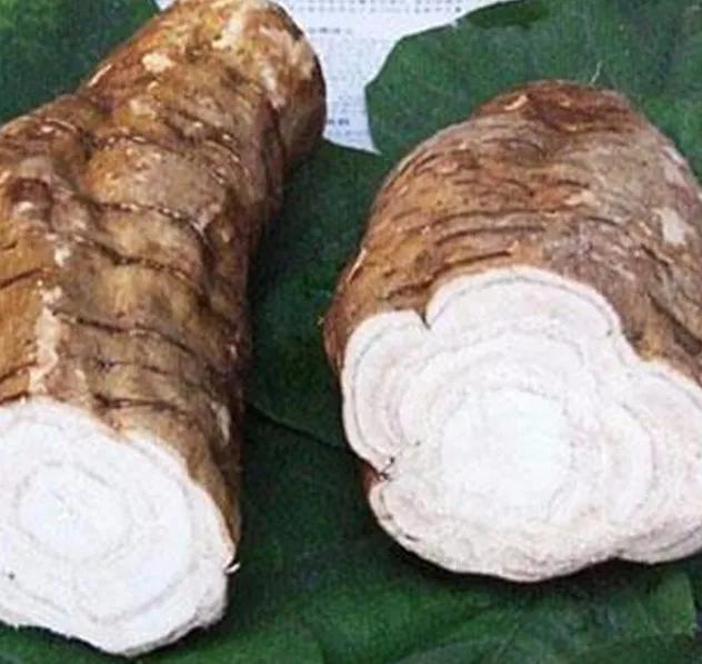 中药九大类,中药的九大体质是什么