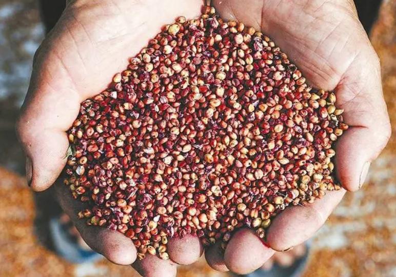 市场上的十大好喝的白酒,全国最好喝的白酒排行