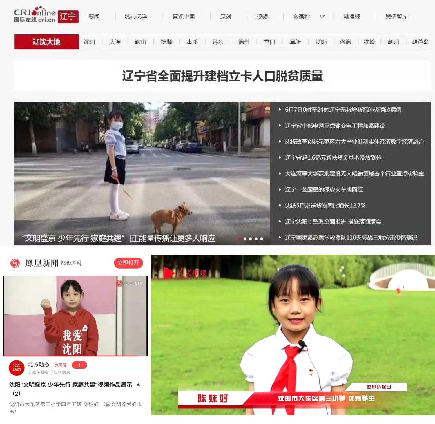 沈阳市区优秀少先队员,沈阳市优秀少先队员