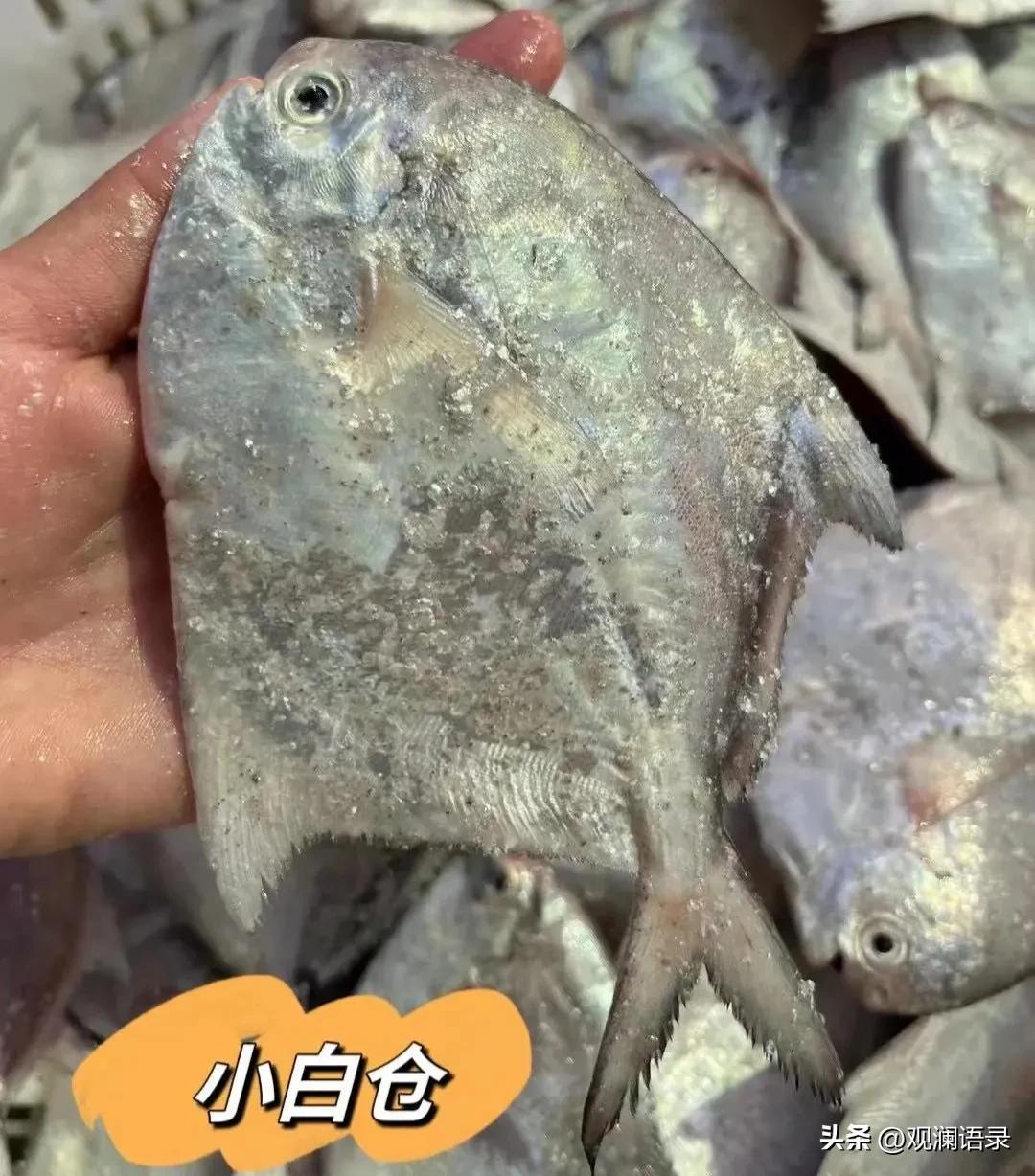 10道经典外卖菜,外卖十道必备菜