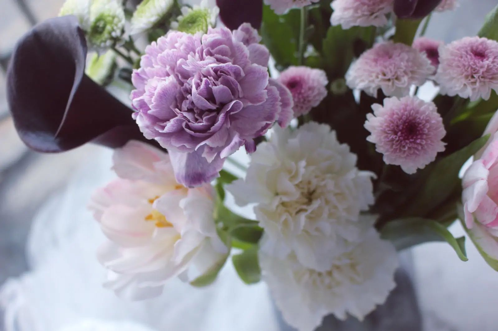 鲜花商标怎么选择,开一家鲜花店需要注册几类商标