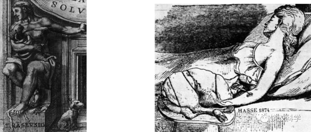 疫苗的发明和应用,疫苗的发明救了多少人