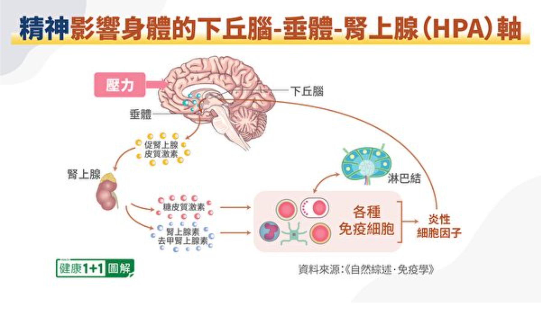 精神世界的匮乏,精神世界丰富的表现