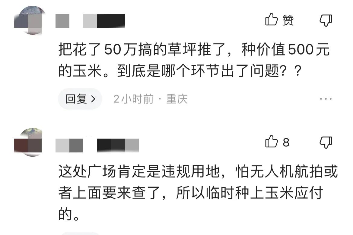 一广场移栽玉米秆引争议,广场移栽玉米苗事件通报