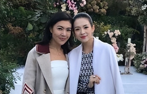 人走茶凉苏芒：封杀唐嫣被章子怡踹掉，毁伊能静婚礼被洪晃暗讽