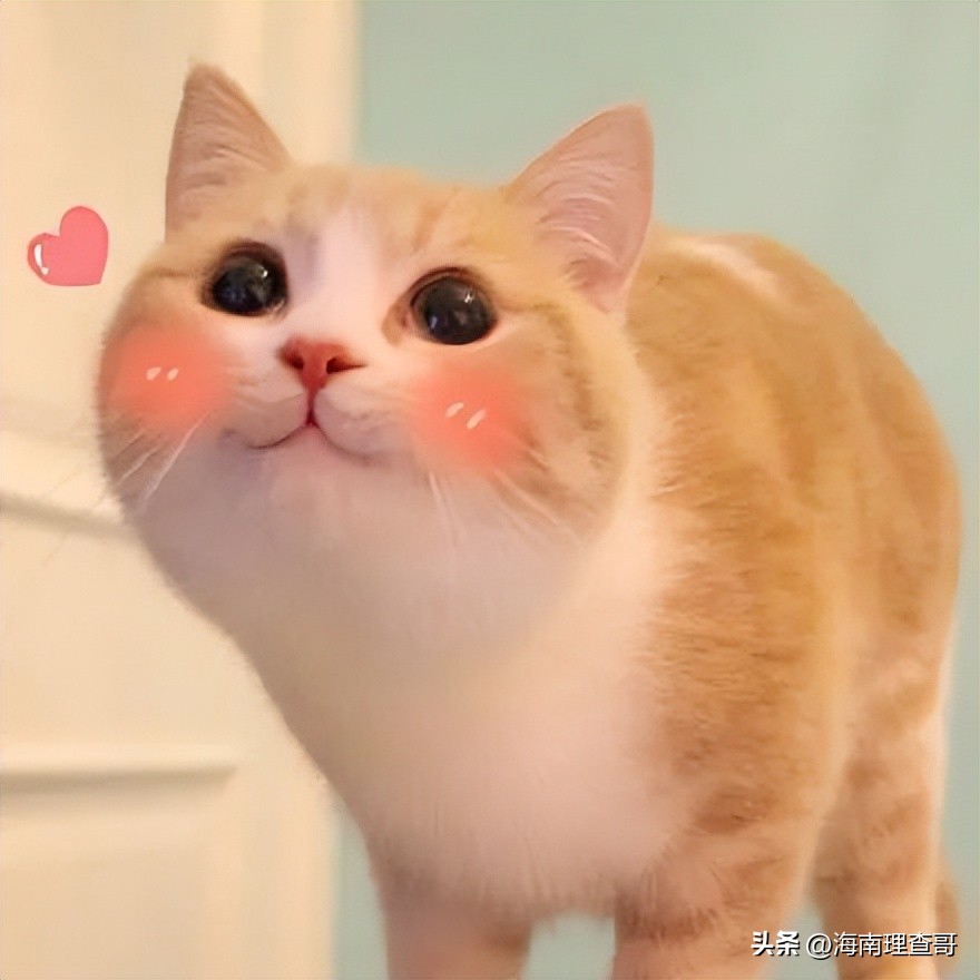 干货在英国生活必备的app有哪些,留学生必备8款实用app