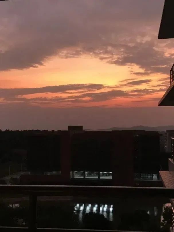 欢迎乘坐观光游览车,欢迎乘坐观光巴士语音