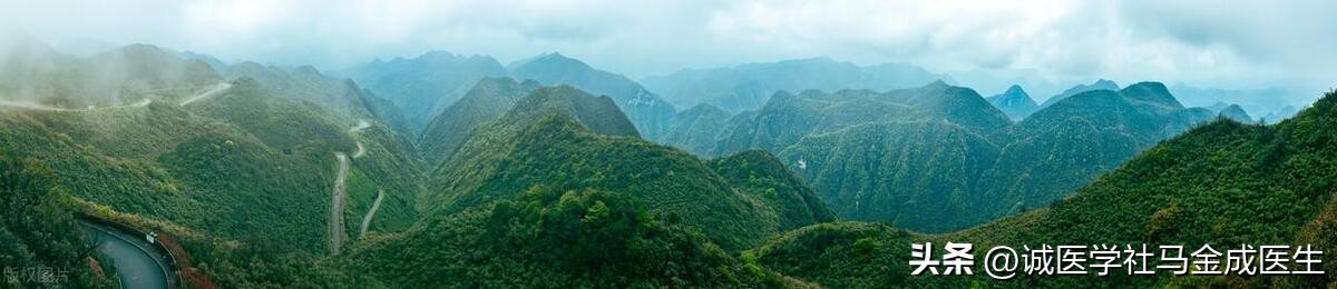 湿气去不掉用这3种药省心又有效,湿气重用了很多排湿的方子不见效