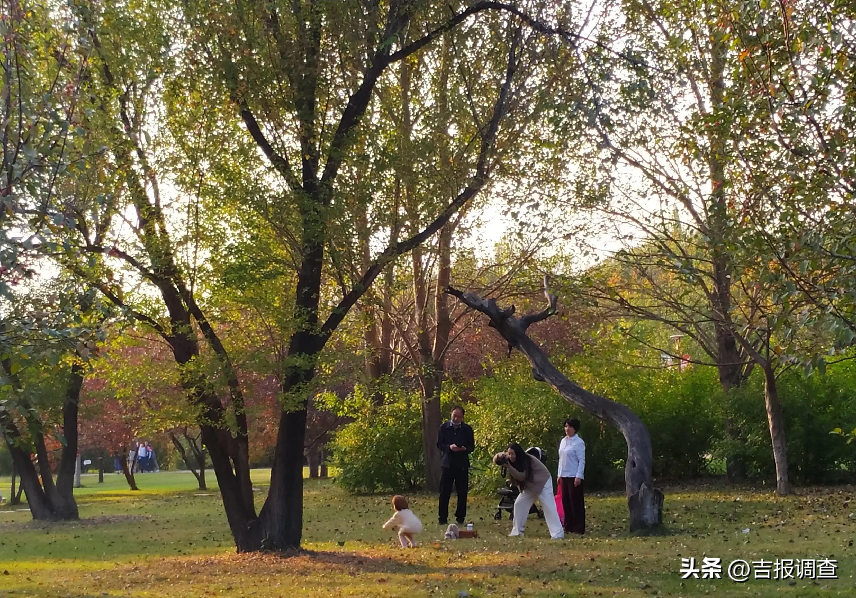 火红的节日，火红的生活！吉林百姓以一幕幕欣欣向荣国泰民安的美好场景歌唱祖国祝福祖国