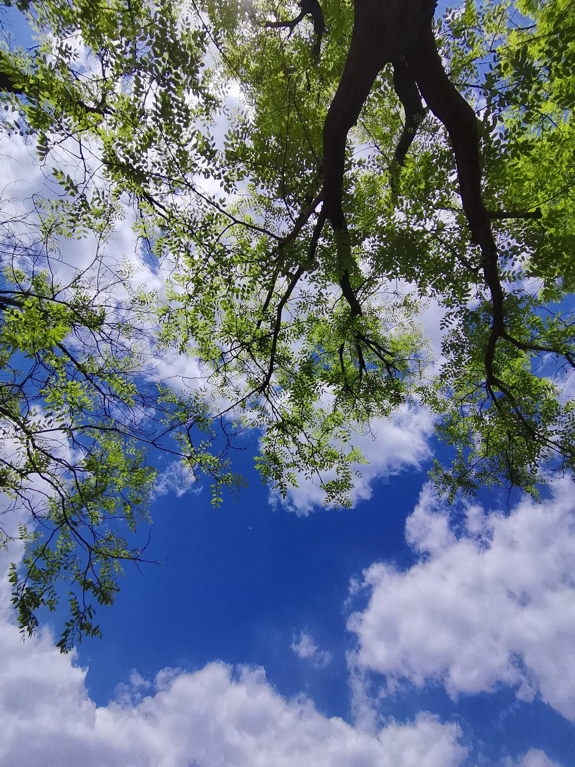 北京京西露营地,京西免费露营