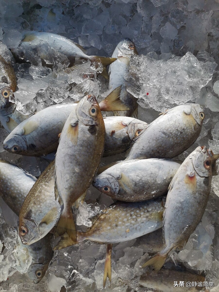 风干海鱼做法最好吃最简单,清明节气鱼做法