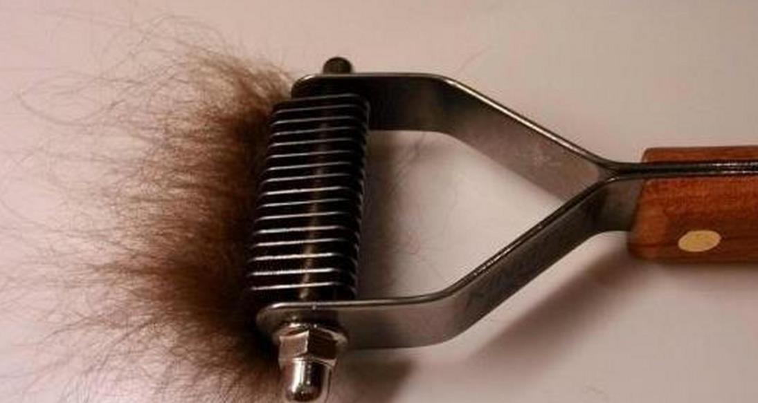 胳膊下的毛能剔除吗,腋窝的毛可以剔除吗