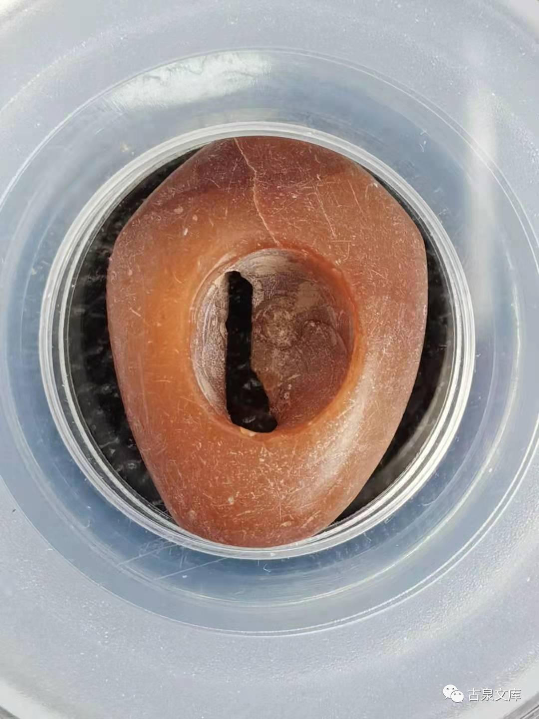 天然贝币真品价格,原始贝币发展史