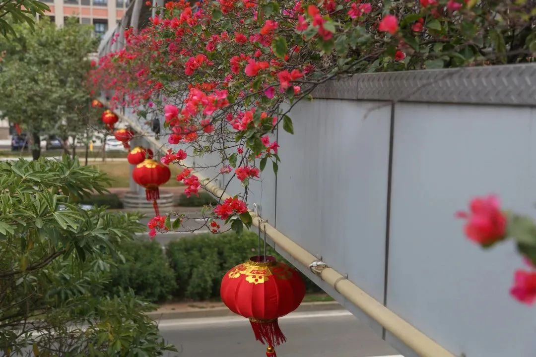 新春走基层年渐近年味浓,新春走基层石头村高挂迎客来