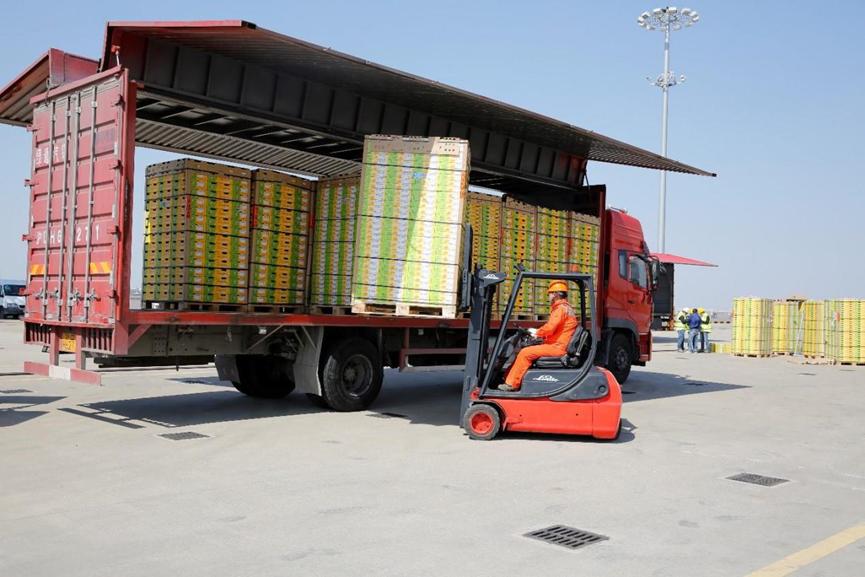 新西兰弄走了湖北猕猴桃，还让中国人付版权费？