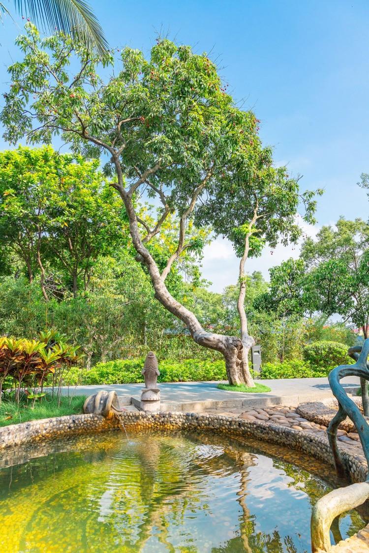 沉浸式泡温泉水酷汤泉,冬季室外温泉别样感受