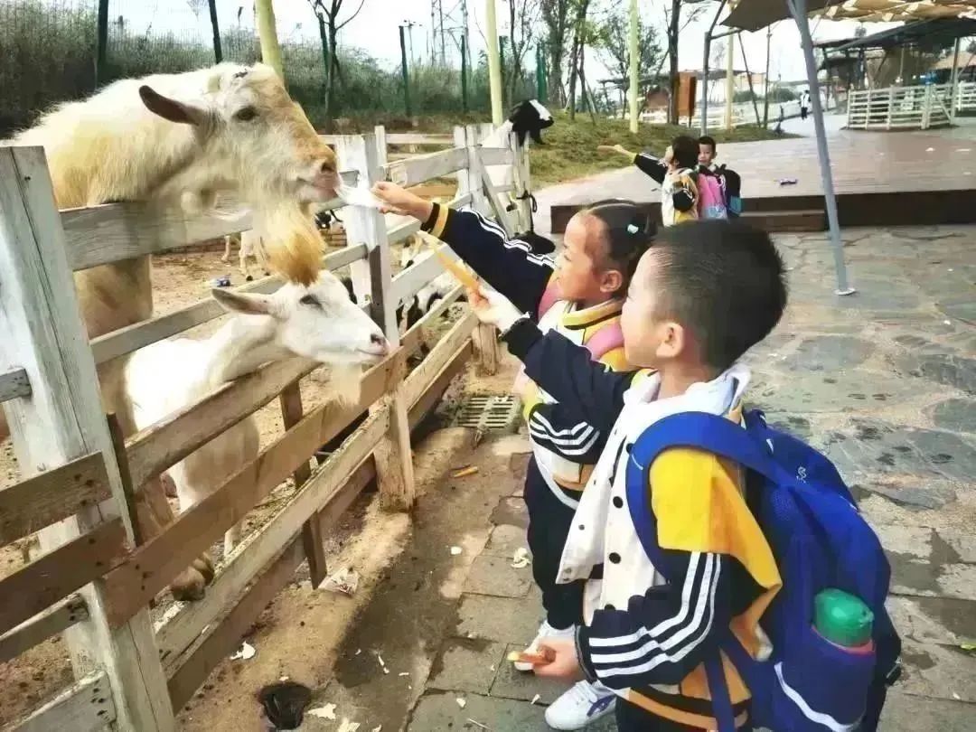 种子乐园游玩攻略,种子乐园2-6岁儿童科普