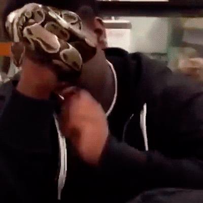 真实大象图片大全可爱,真实野生大象图片