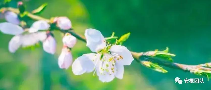 农民分享农业知识,新农人谈共同富裕