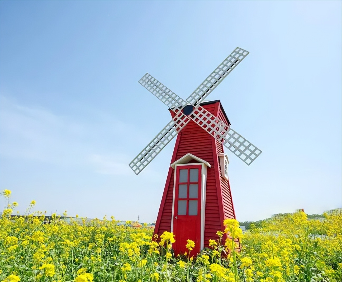 普阳绿城诚园发布会,武安普阳绿城诚园绿化现场