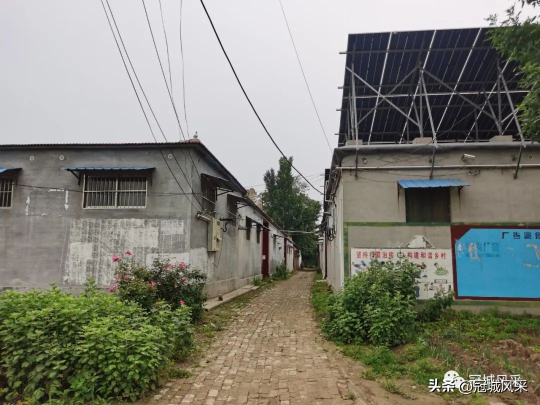 冠县乡韵·贾镇小艾寨村