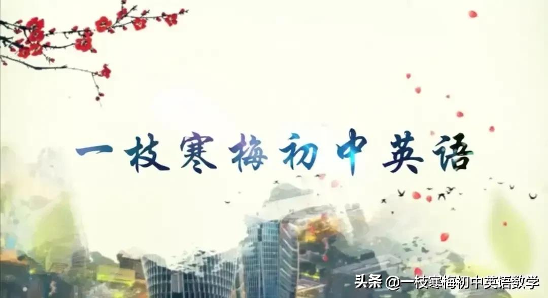 人教版初中英语语法练习试题,初中所有英语语法小专练题型