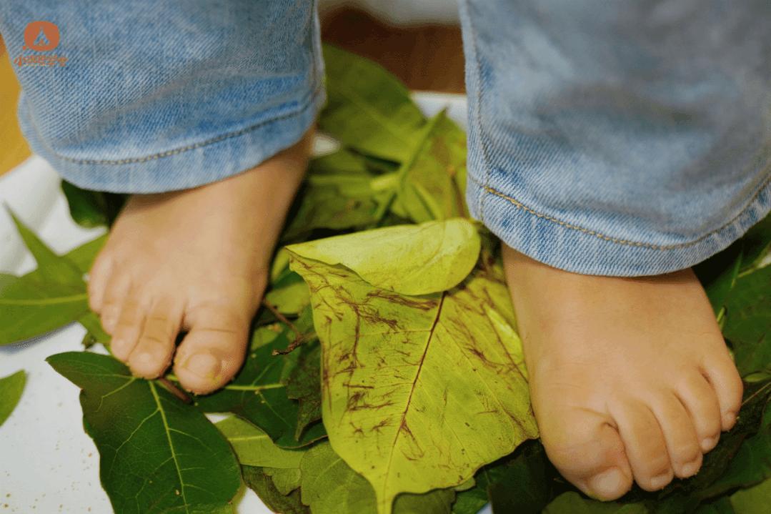 孩子上全托班的最佳年龄,幼儿刚上托班适合上什么课程